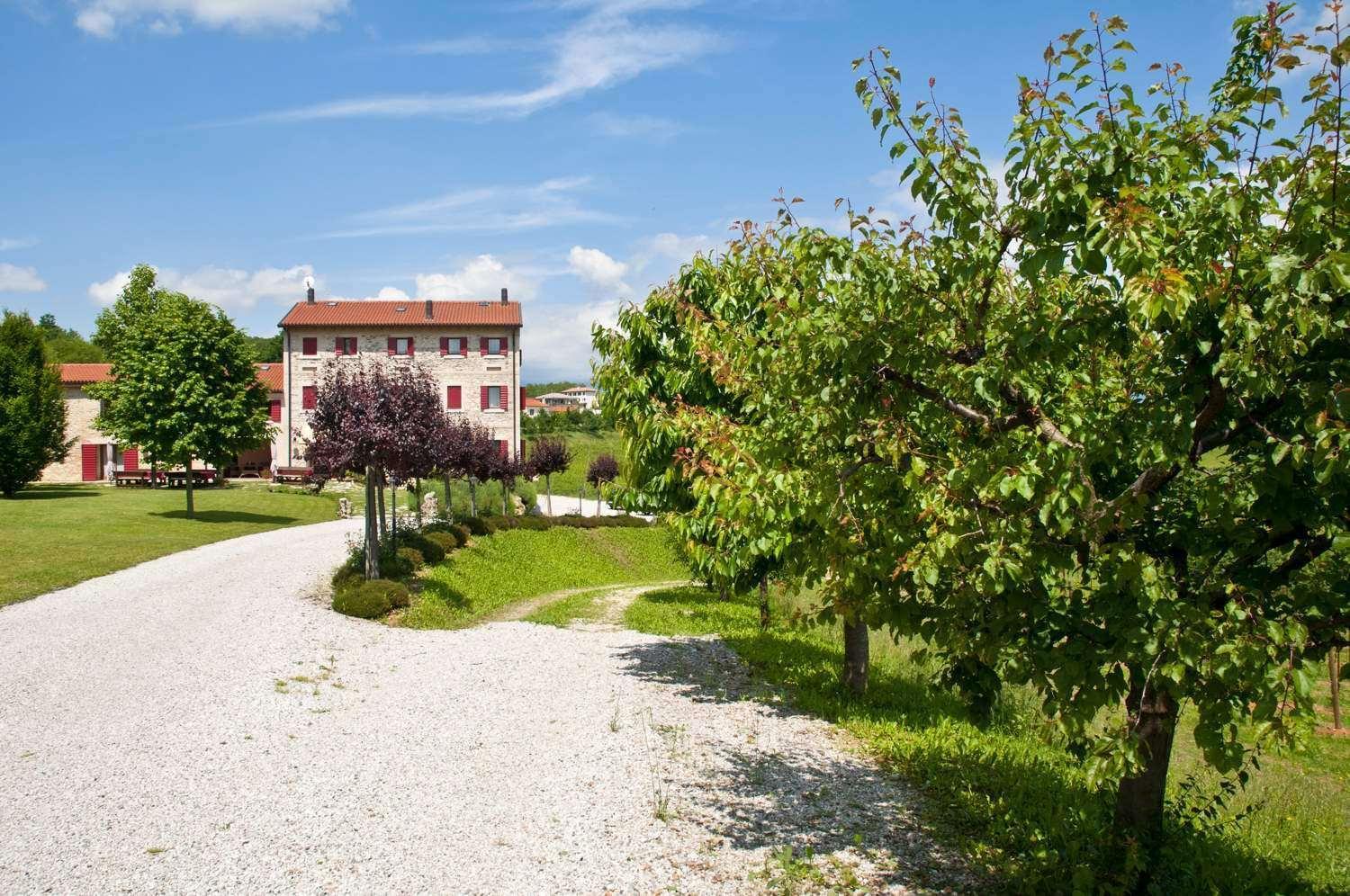 Nervesa della Battaglia Agriturismo Prime Gemme מראה חיצוני תמונה